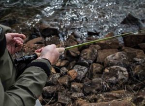 fishing-gallery-1